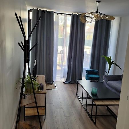 Les Oursins-Appartement 3Pieces, 4 Couchages Et Parking Gratuit ميتز المظهر الخارجي الصورة